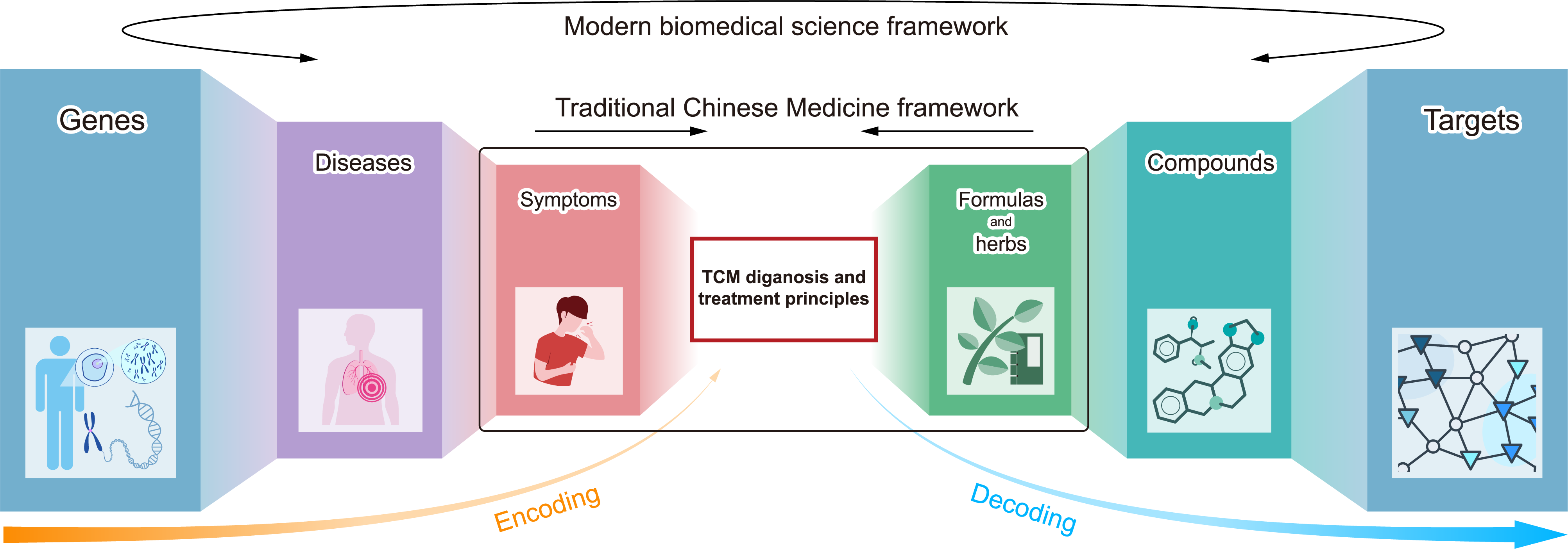 TCM Foundation Model